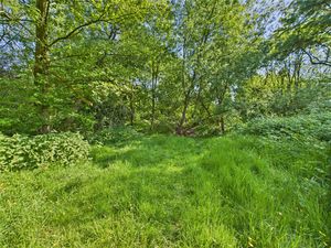 Photo 28- click for photo gallery